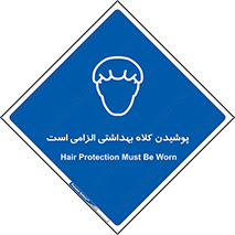 Head , Hair , سر , مو , 