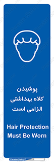 Head , Hair , سر , مو , 