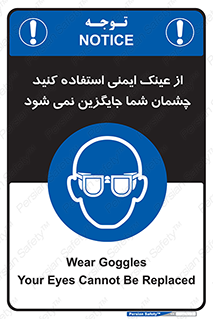 Eye Protection , glasses , عینک , چشم , 
