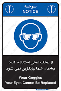 Eye Protection , glasses , عینک , چشم , 