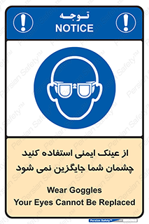 Eye Protection , glasses , عینک , چشم , 