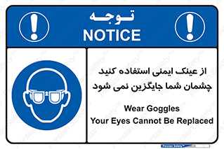 Eye Protection , glasses , عینک , چشم , 