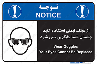 Eye Protection , glasses , عینک , چشم , 