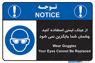 Eye Protection , glasses , عینک , چشم , 