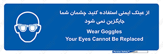 Eye Protection , glasses , عینک , چشم , 