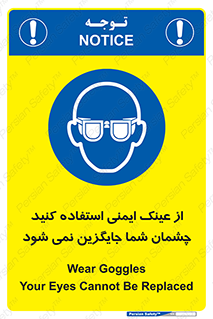 Eye Protection , glasses , عینک , چشم , 