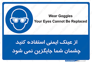 Eye Protection , glasses , عینک , چشم , 