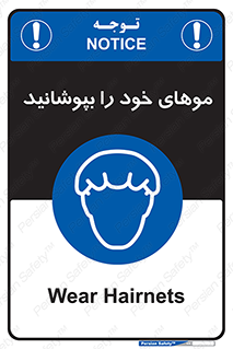 Hairnets , Hair , پوشاندن , گیس , سر , محصور , 