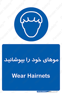 Hairnets , Hair , پوشاندن , گیس , سر , محصور , 