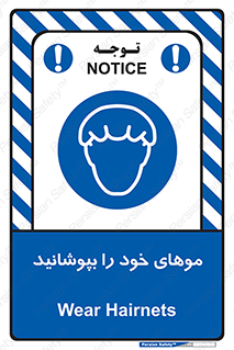 Hairnets , Hair , پوشاندن , گیس , سر , محصور , 