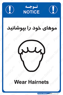 Hairnets , Hair , پوشاندن , گیس , سر , محصور , 