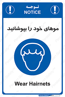 Hairnets , Hair , پوشاندن , گیس , سر , محصور , 