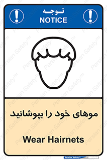 Hairnets , Hair , پوشاندن , گیس , سر , محصور , 