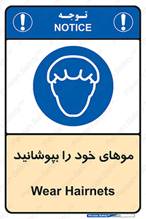 Hairnets , Hair , پوشاندن , گیس , سر , محصور , 