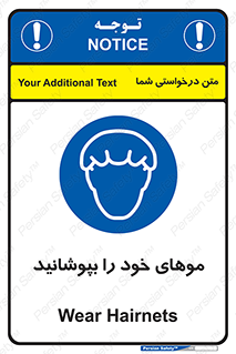 Hairnets , Hair , پوشاندن , گیس , سر , محصور , 