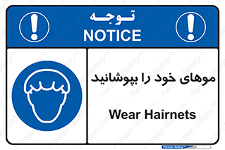 Hairnets , Hair , پوشاندن , گیس , سر , محصور , 