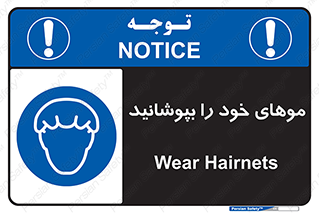 Hairnets , Hair , پوشاندن , گیس , سر , محصور , 