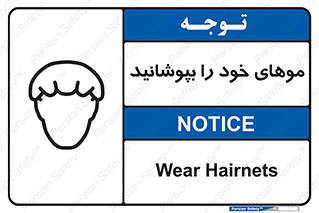 Hairnets , Hair , پوشاندن , گیس , سر , محصور , 