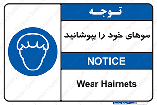 Hairnets , Hair , پوشاندن , گیس , سر , محصور , 