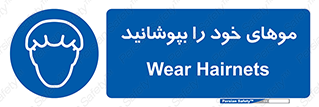 Hairnets , Hair , پوشاندن , گیس , سر , محصور , 