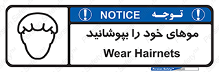 Hairnets , Hair , پوشاندن , گیس , سر , محصور , 