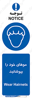 Hairnets , Hair , پوشاندن , گیس , سر , محصور , 