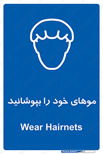 Hairnets , Hair , پوشاندن , گیس , سر , محصور , 