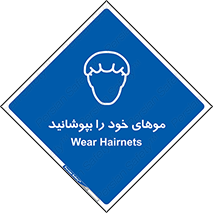 Hairnets , Hair , پوشاندن , گیس , سر , محصور , 