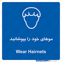 Hairnets , Hair , پوشاندن , گیس , سر , محصور , 