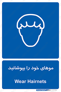Hairnets , Hair , پوشاندن , گیس , سر , محصور , 