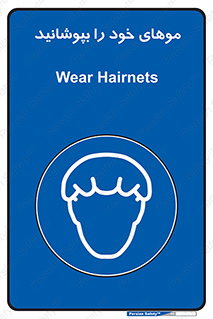 Hairnets , Hair , پوشاندن , گیس , سر , محصور , 