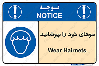 Hairnets , Hair , پوشاندن , گیس , سر , محصور , 