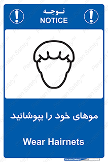 Hairnets , Hair , پوشاندن , گیس , سر , محصور , 