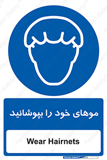 Hairnets , Hair , پوشاندن , گیس , سر , محصور , 