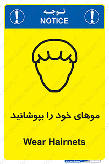 Hairnets , Hair , پوشاندن , گیس , سر , محصور , 