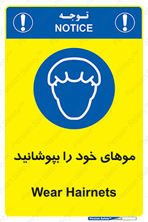 Hairnets , Hair , پوشاندن , گیس , سر , محصور , 