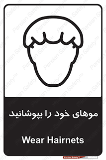 Hairnets , Hair , پوشاندن , گیس , سر , محصور , 