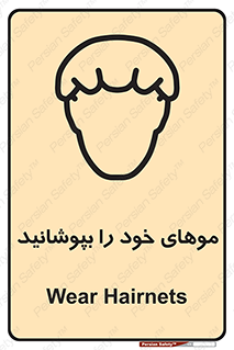 Hairnets , Hair , پوشاندن , گیس , سر , محصور , 