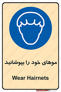 Hairnets , Hair , پوشاندن , گیس , سر , محصور , 