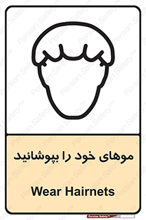 Hairnets , Hair , پوشاندن , گیس , سر , محصور , 