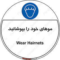 Hairnets , Hair , پوشاندن , گیس , سر , محصور , 