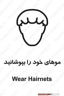 Hairnets , Hair , پوشاندن , گیس , سر , محصور , 