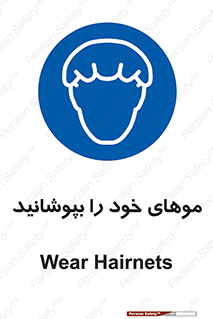 Hairnets , Hair , پوشاندن , گیس , سر , محصور , 