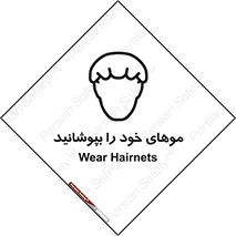 Hairnets , Hair , پوشاندن , گیس , سر , محصور , 
