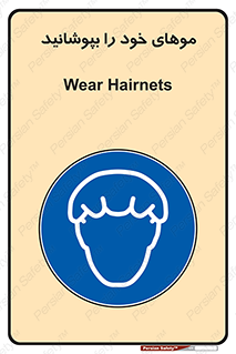 Hairnets , Hair , پوشاندن , گیس , سر , محصور , 