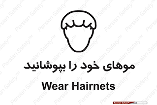 Hairnets , Hair , پوشاندن , گیس , سر , محصور , 