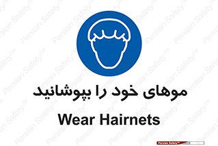 Hairnets , Hair , پوشاندن , گیس , سر , محصور , 