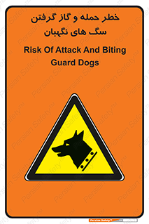 Dogs , هار , وحشی , حیوان , محافظ , 