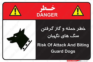 Dogs , هار , وحشی , حیوان , محافظ , 