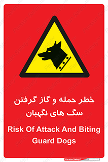 Dogs , هار , وحشی , حیوان , محافظ , 